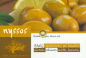 Preview: Grüne Oliven mit Zitrone und Knoblauch