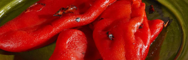 Rote geröstete Paprika Florinis